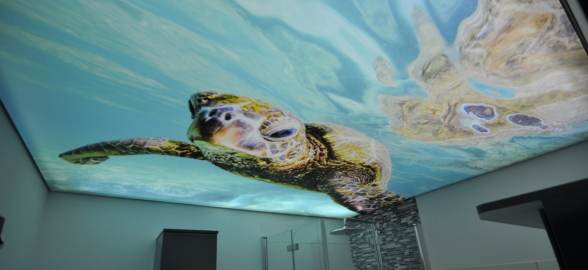 lichtdecke_bedruckt_spanndecke_LED_ledband_powerled_wasserschildkroete_bad_wc Lichtdecke Bad bedruckt Wasserschildkroete