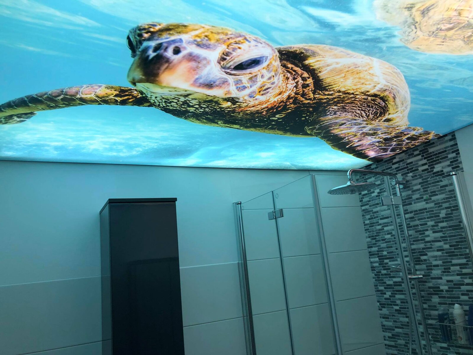 Hinterleuchtete Spanndecke im Badezimmer Motiv Wasserschildkröte