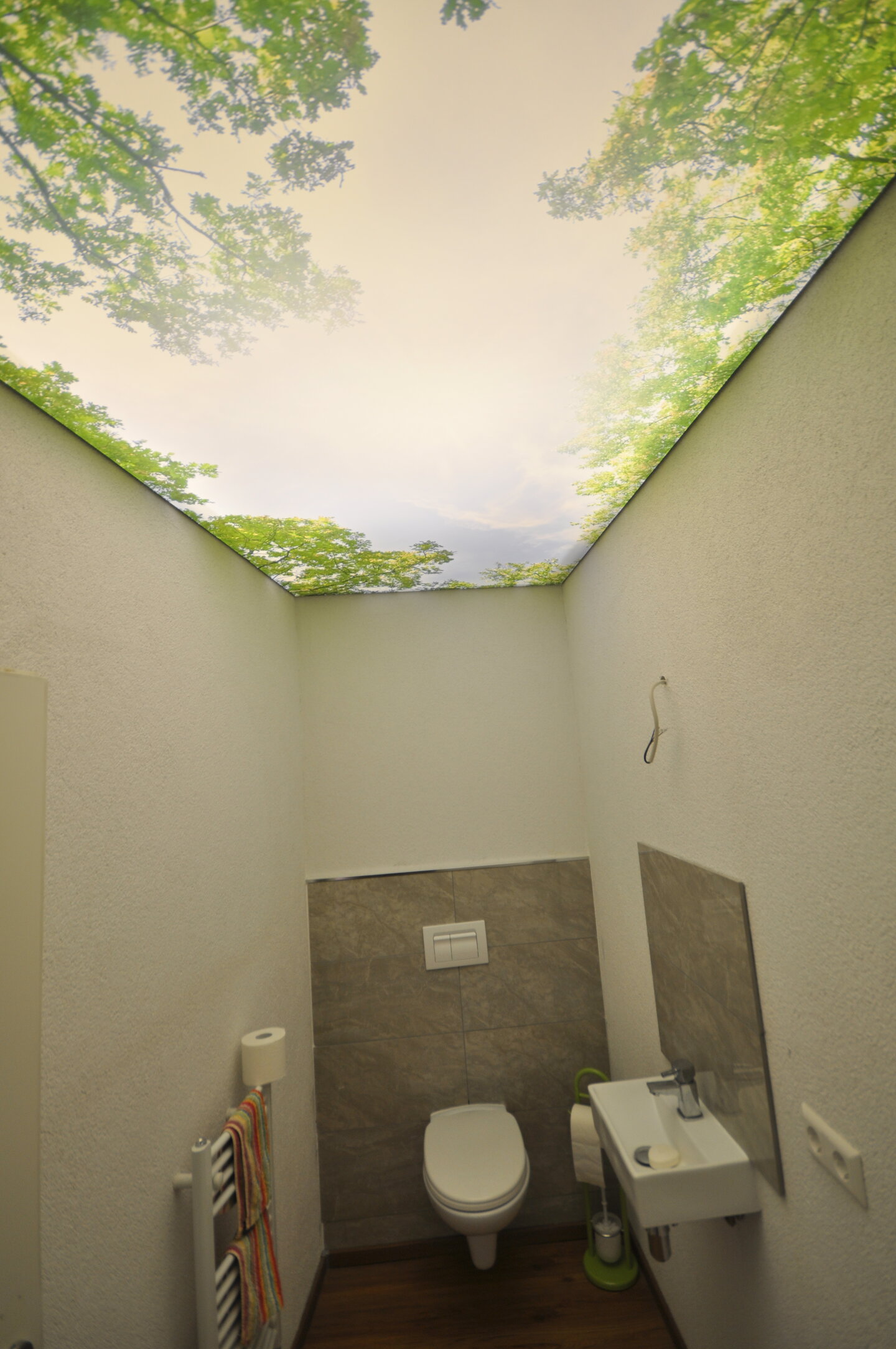 wc_spanndecke_lichtdecke_bedruckt_motiv_himmel_aeste_led_ledband_umlaufend_powerled Lichtdecke WC hinterleuchtet Motiv