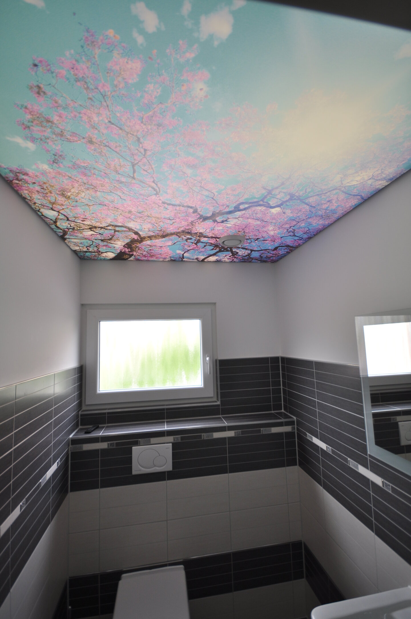 wc_spanndecke_lichtdecke_bedruckt_motiv_himmel_aeste_led_ledband_umlaufend_powerled Lichtdecke WC Motiv hinterleuchtet