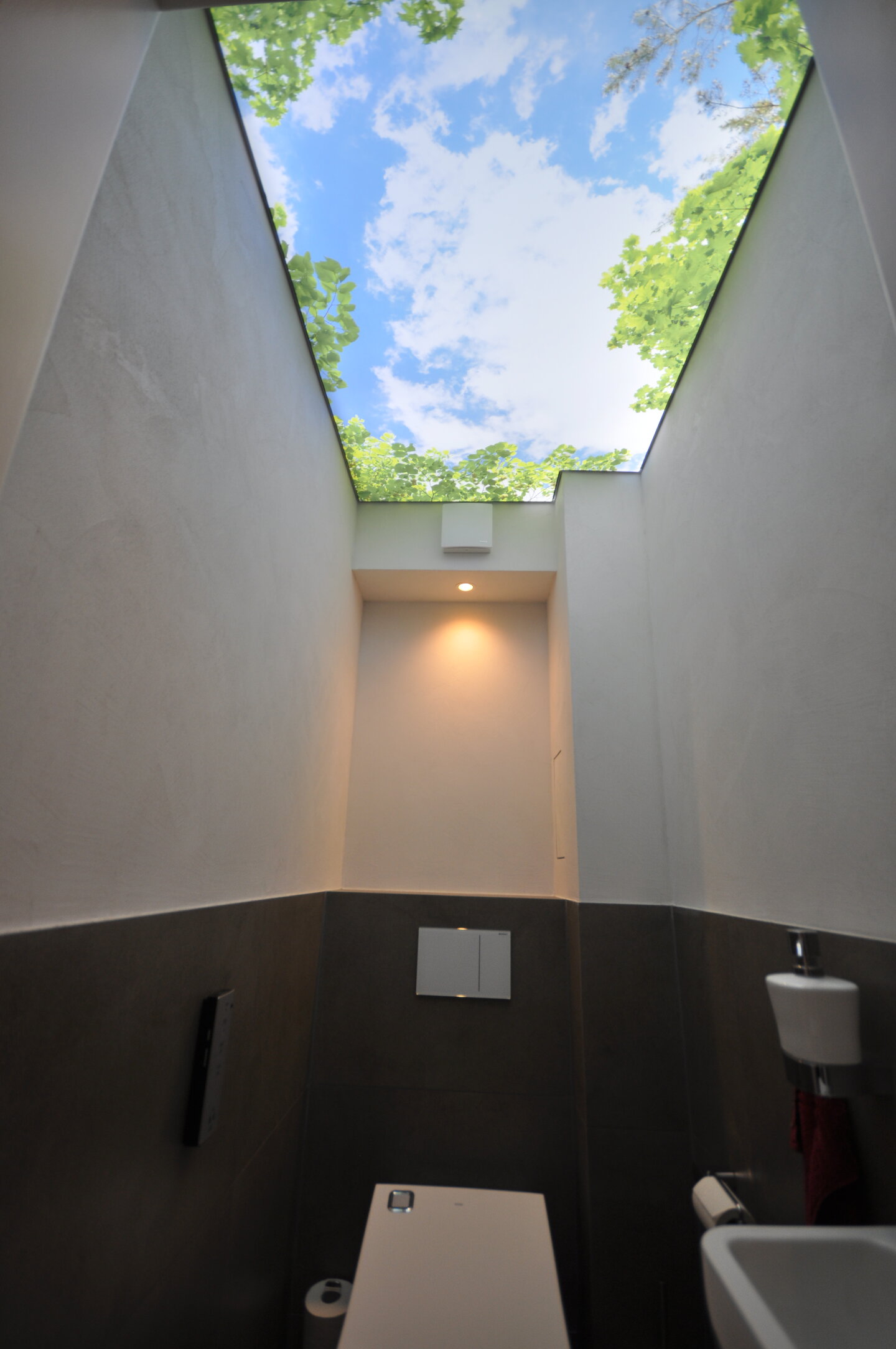 wc_spanndecke_lichtdecke_bedruckt_motiv_himmel_aeste_led_ledband_umlaufend_powerled Lichtdecke WC Motiv Himmel