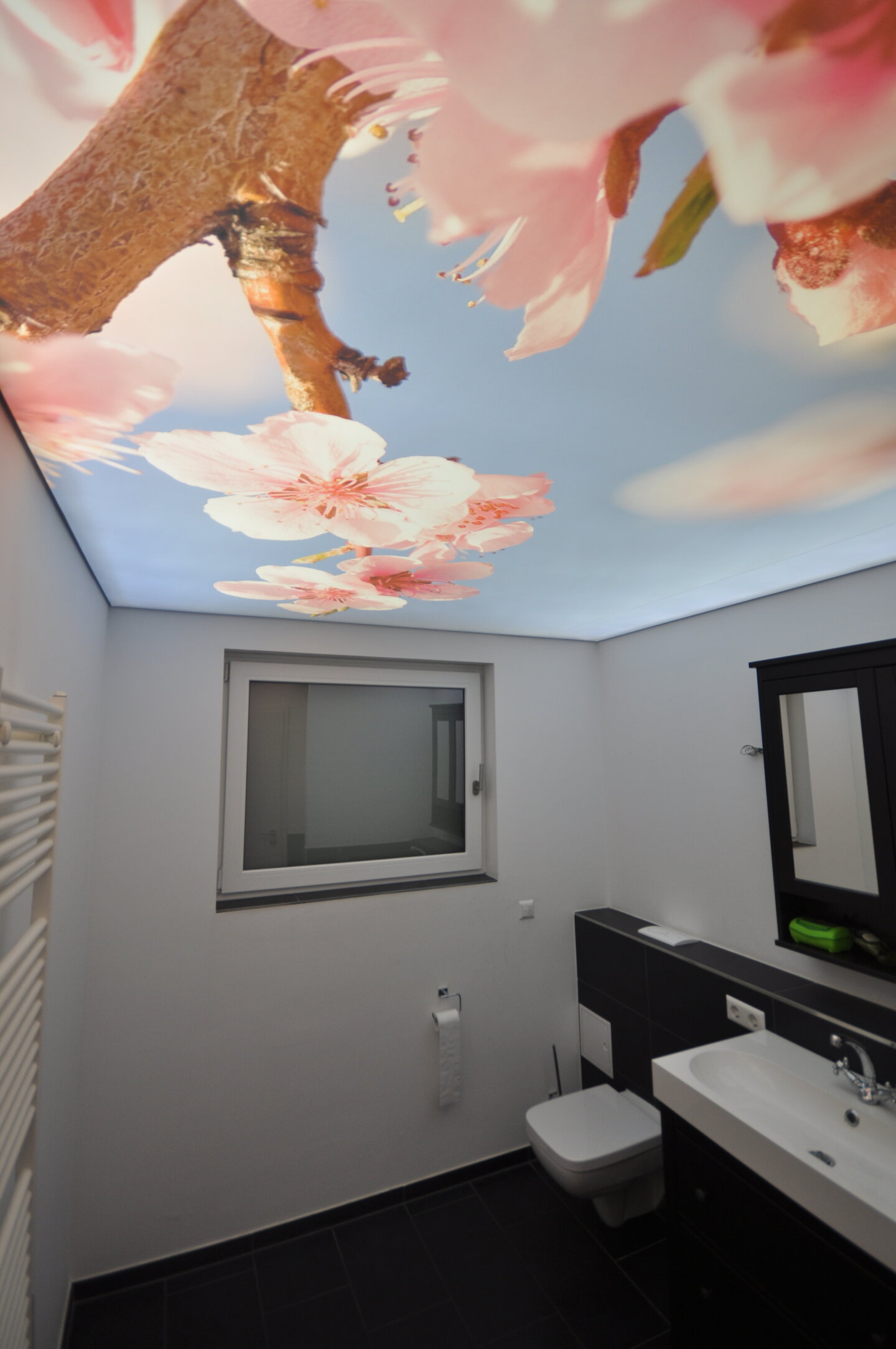 wc_spanndecke_lichtdecke_bedruckt_motiv_blueten_led_ledband_umlaufend_powerled Lichtdecke WC Motiv hinterleuchtet