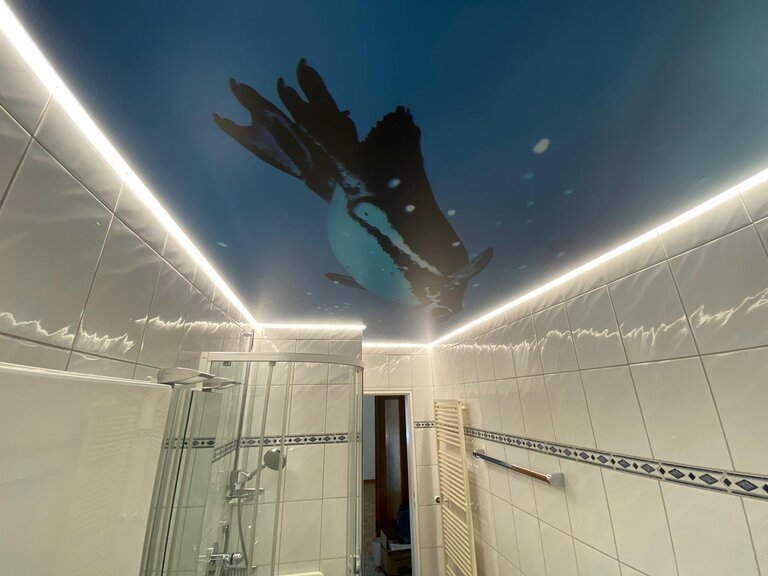 Bedruckte_Spanndecke_Pinguin_LED_Band_umlaufend Spanndecke Lichtdecke Bad LED dimmbar bedruckt